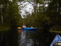 08-11-15-Alligator River-29267