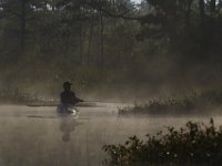 08-13-15-Alligator River-29476