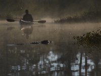 08-13-15-Alligator River-29490
