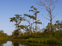 08-13-15-Alligator River-29636