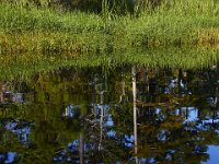 08-13-15-Alligator River-29641