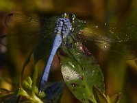 08-13-15-Alligator River-29652