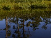 08-13-15-Alligator River-29711