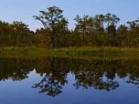 08-13-15-Alligator River-29754