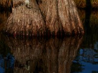 08-14-15-Crooked Creek-NC-29998