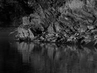 08-22-15-Triadelphia-West-20405