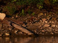 08-23-15-Rocky Gorge