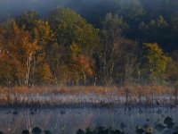 10-11-15-Piscataway-24248