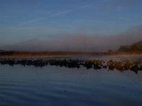 10-11-15-Piscataway-24268