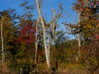 10-11-15-Piscataway-24414
