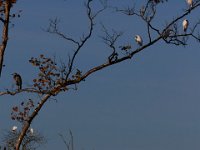 10-11-15-Piscataway-24440