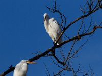 10-11-15-Piscataway-24491