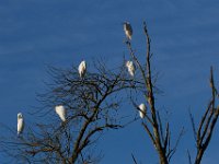 10-11-15-Piscataway-24575