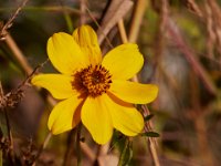 10-11-15-Piscataway-24593