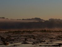 10-12-15-Mattawoman-25206