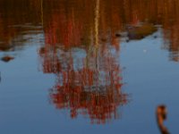 10-16-15-Mattaponi-26013