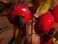 10-16-15-Mattaponi-26208