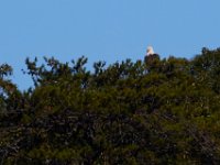 10-19-15-Nanjemoy-26828