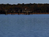 10-19-15-Nanjemoy-26851