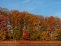 10-21-15-Triadelphia-26971