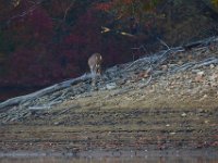 10-21-15-Triadelphia-27158