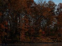 11-15-15-Nanjemoy-28109