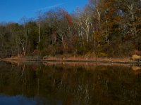 11-15-15-Nanjemoy-28211