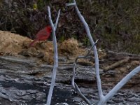03-12-16-Nanjemoy-20678
