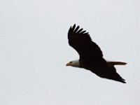 03-12-16-Nanjemoy-20884