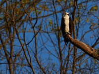 04-16-16-Rocky Gorge-21001
