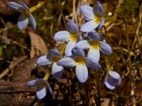 04-16-16-Rocky Gorge-21153