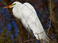 04-17-16-Mattawoman Creek-21505