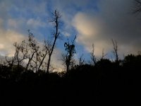 05-07-16-Piscataway-22371