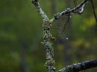 05-07-16-Piscataway-22410