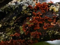 05-07-16-Piscataway-22423 1
