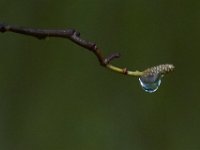 05-07-16-Piscataway-22451