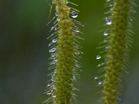 05-07-16-Piscataway-22545