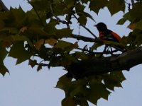 05-07-16-Piscataway-22633