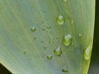 06-04-16-Mattawoman-23802