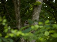 06-19-16-Piscataway-24862
