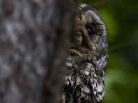 06-19-16-Piscataway-24940