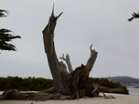 06-30-16-California-27417