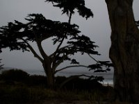 06-30-16-California-27580