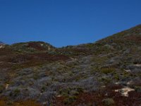 06-30-16-California-27942