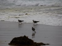 07-01-16-California-28743