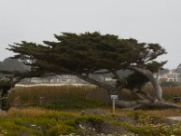 07-01-16-California-28786