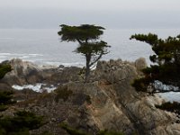 07-01-16-California-29053