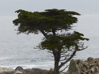 07-01-16-California-29055