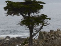 07-01-16-California-29056