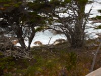 07-01-16-California-29066